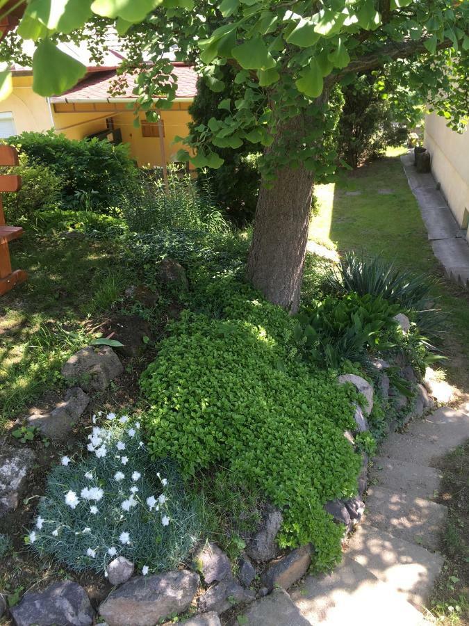 Bogoly Apartman Tokaj Extérieur photo