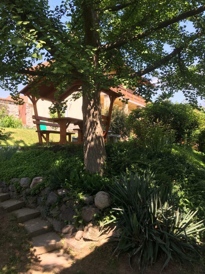 Bogoly Apartman Tokaj Extérieur photo